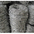 Barbed Wire / Razor Barbed Wire (fabricante especializado)